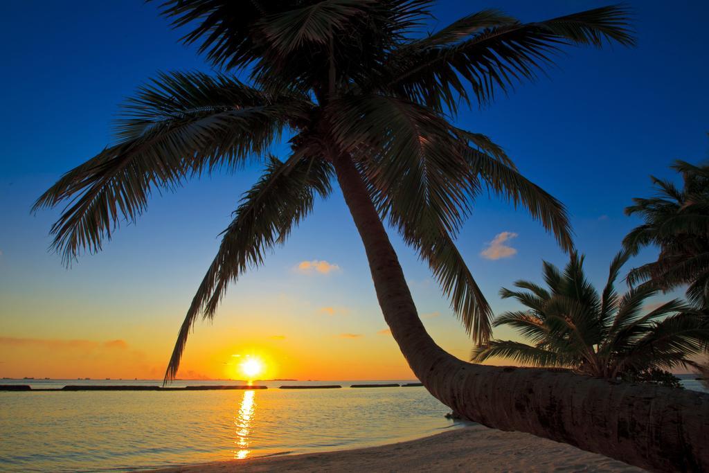 Kurumba Maldives Resort 5*